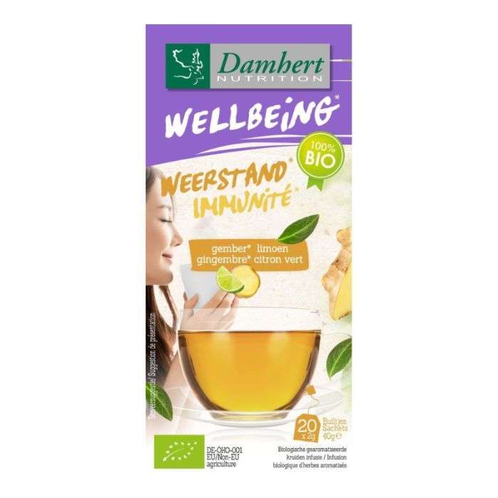 damhert-wellbeing-immunite-gingembre-citron-vert-20-sachets.jpg DAMHERT WELLBEING IMMUNITE GINGEMBRE CITRON VERT 20 SACHETS – Image 1